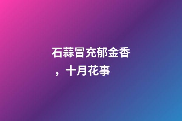 石蒜冒充郁金香，十月花事-第1張-觀點(diǎn)-玄機(jī)派